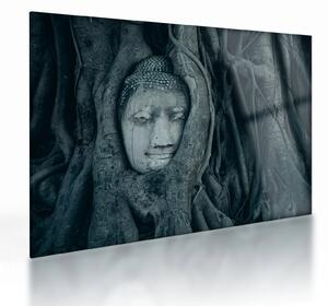 Kép - Thai arc (üvegen) (70x50 cm)