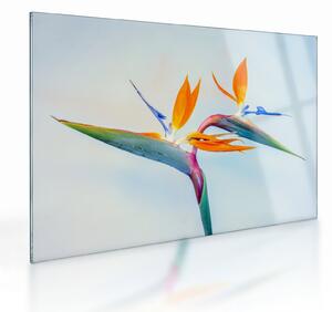 Virág képe (üvegen) (70x50 cm)