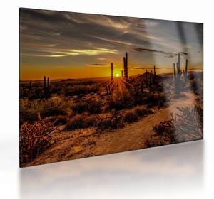 Kép - A nap vége az arizonai sivatagban (üvegen) (70x50 cm)