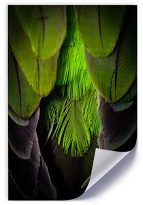 Gario Poszter Zöld tollak A keret színe: Keret nélkül, Méret: 30 x 45 cm