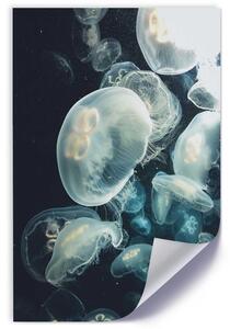 Gario Poszter Lebego medúza A keret színe: Keret nélkül, Méret: 30 x 45 cm