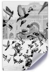Gario Poszter Galambok a téli téren A keret színe: Keret nélkül, Méret: 30 x 45 cm