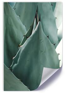 Gario Poszter Kaktuszlevél, közelkép agavéra A keret színe: Természetes, Méret: 20 x 30 cm