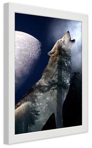 Gario Poszter Farkas üvölt a holdra A keret színe: Fehér, Méret: 30 x 45 cm