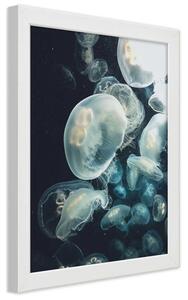 Gario Poszter Lebego medúza A keret színe: Fehér, Méret: 30 x 45 cm