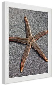 Gario Poszter Csillagok a tengerparton A keret színe: Fehér, Méret: 30 x 45 cm