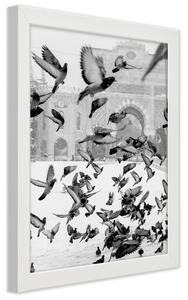 Gario Poszter Galambok a téli téren A keret színe: Fehér, Méret: 30 x 45 cm