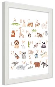 Poszter Ábécé állatokkal A keret színe: Fehér, Méretek: 20 x 30 cm