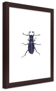 Gario Poszter Fekete bogár A keret színe: Keret nélkül, Méret: 20 x 30 cm
