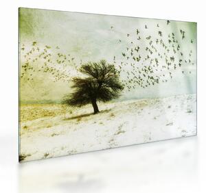 Kép - Festett madárállomány (üvegen) (70x50 cm)