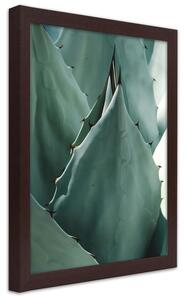 Gario Poszter Kaktuszlevél, közelkép agavéra A keret színe: Természetes, Méret: 20 x 30 cm