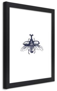 Gario Poszter Repülo bogár A keret színe: Fekete, Méret: 20 x 30 cm
