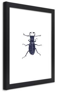 Gario Poszter Fekete bogár A keret színe: Fekete, Méret: 20 x 30 cm