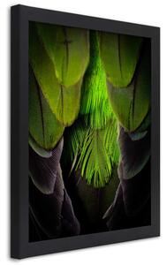 Gario Poszter Zöld tollak A keret színe: Fekete, Méret: 20 x 30 cm