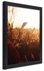 Gario Poszter Grain in the sun A keret színe: Természetes, Méret: 20 x 30 cm
