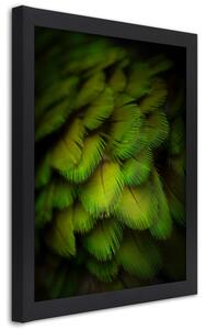 Gario Poszter Absztrakt zöld tollakból A keret színe: Fekete, Méret: 20 x 30 cm