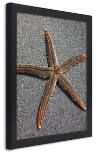 Gario Poszter Csillagok a tengerparton A keret színe: Fekete, Méret: 20 x 30 cm