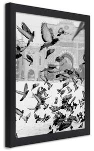 Gario Poszter Galambok a téli téren A keret színe: Fekete, Méret: 20 x 30 cm