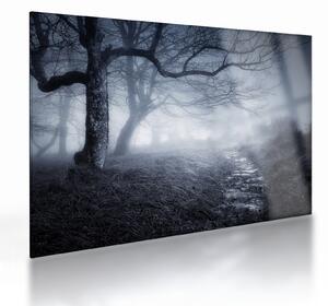 Kép - Út a ködben (üvegen) (70x50 cm)