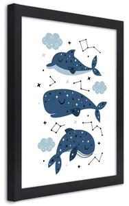 Gario Poszter Boldog bálnák A keret színe: Fekete, Méret: 20 x 30 cm