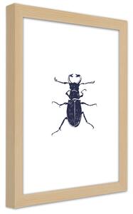 Gario Poszter Fekete bogár A keret színe: Természetes, Méret: 30 x 45 cm
