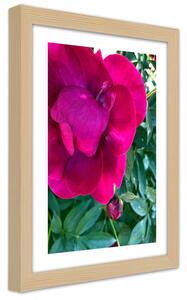 Gario Poszter Rózsaszín nagy virág A keret színe: Természetes, Méret: 30 x 45 cm