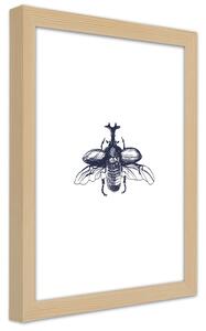 Poszter Repülő bogár A keret színe: Természetes, Méretek: 20 x 30 cm