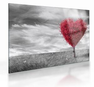 Kép - szív a fák koronájából (üvegen) (70x50 cm)