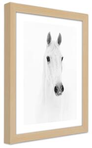 Gario Poszter Szürke ló A keret színe: Természetes, Méret: 30 x 45 cm