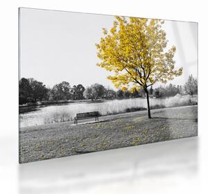 Kép - Pihenés a parkban (üvegen) (70x50 cm)