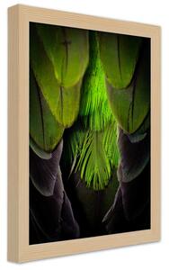 Gario Poszter Zöld tollak A keret színe: Természetes, Méret: 30 x 45 cm