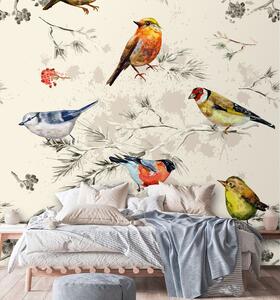Fotótapéta Színes madarak akvarellel festve Anyag: Vlies, Méretek: 100 x 100 cm