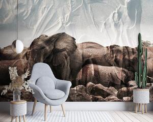 Gario Fotótapéta Elefántok egy csordában Anyag: Vlies, Méret: 300 x 210 cm
