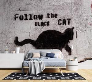 Gario Fotótapéta Fekete macska - kövesse a fekete macskát, beton Anyag: Vlies, Méret: 200 x 140 cm