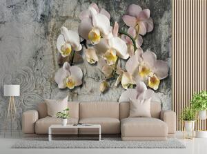 Gario Fotótapéta Virágzó orchidea egy régi fal hátterén Anyag: Vlies, Méret: 200 x 140 cm