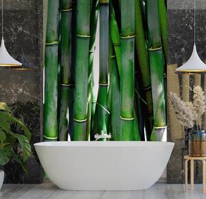Gario Fotótapéta Zöld bambuszok Anyag: Vlies, Méret: 100 x 140 cm