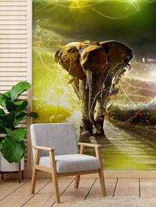 Gario Fotótapéta Varázslatos elefánt Anyag: Vlies, Méret: 200 x 280 cm