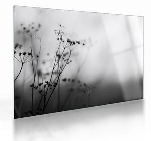 Kép - Réti virágok részlete (üvegen) (70x50 cm)