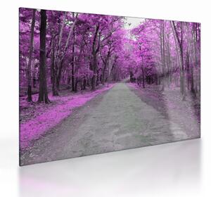 Kép - Út a parkon (üvegen) (70x50 cm)