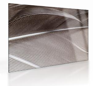 Absztrakt kép szálak (üvegen) (70x50 cm)