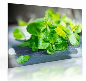 A menta képe (üvegen) (70x50 cm)