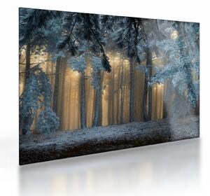 A havas erdő képe (üvegen) (70x50 cm)