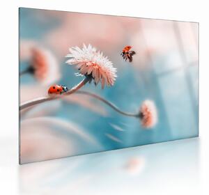 Kép - Katicabogarak a virágon (üvegen) (70x50 cm)
