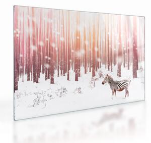 Kép - Zebra egy havas erdőben (üvegen) (70x50 cm)