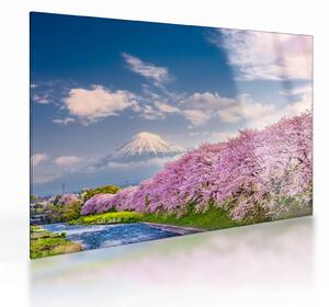 Kép - Japán tavaszi táj (üvegen) (70x50 cm)