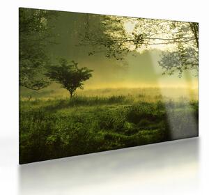 Kép - Ébredő erdő (üvegen) (70x50 cm)