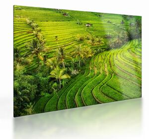 Kép - Rizs teraszok (üvegen) (70x50 cm)