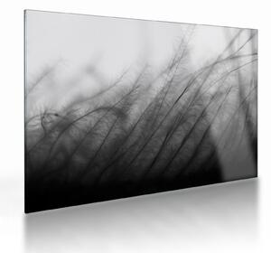 Kép - Fű a szélben (üvegen) (70x50 cm)