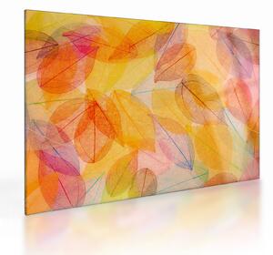 Kép - Háttér az őszi levelekből (üvegen) (70x50 cm)