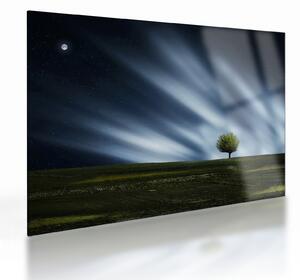 Az aurora borealis képe egy lápvidéken (üvegen) (70x50 cm)